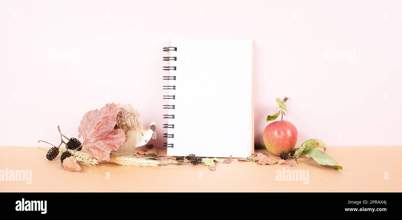 Empty notebook with an apple and a hedgehog, autumn background with colorful leaves, office desk, pastel color Stock Photo