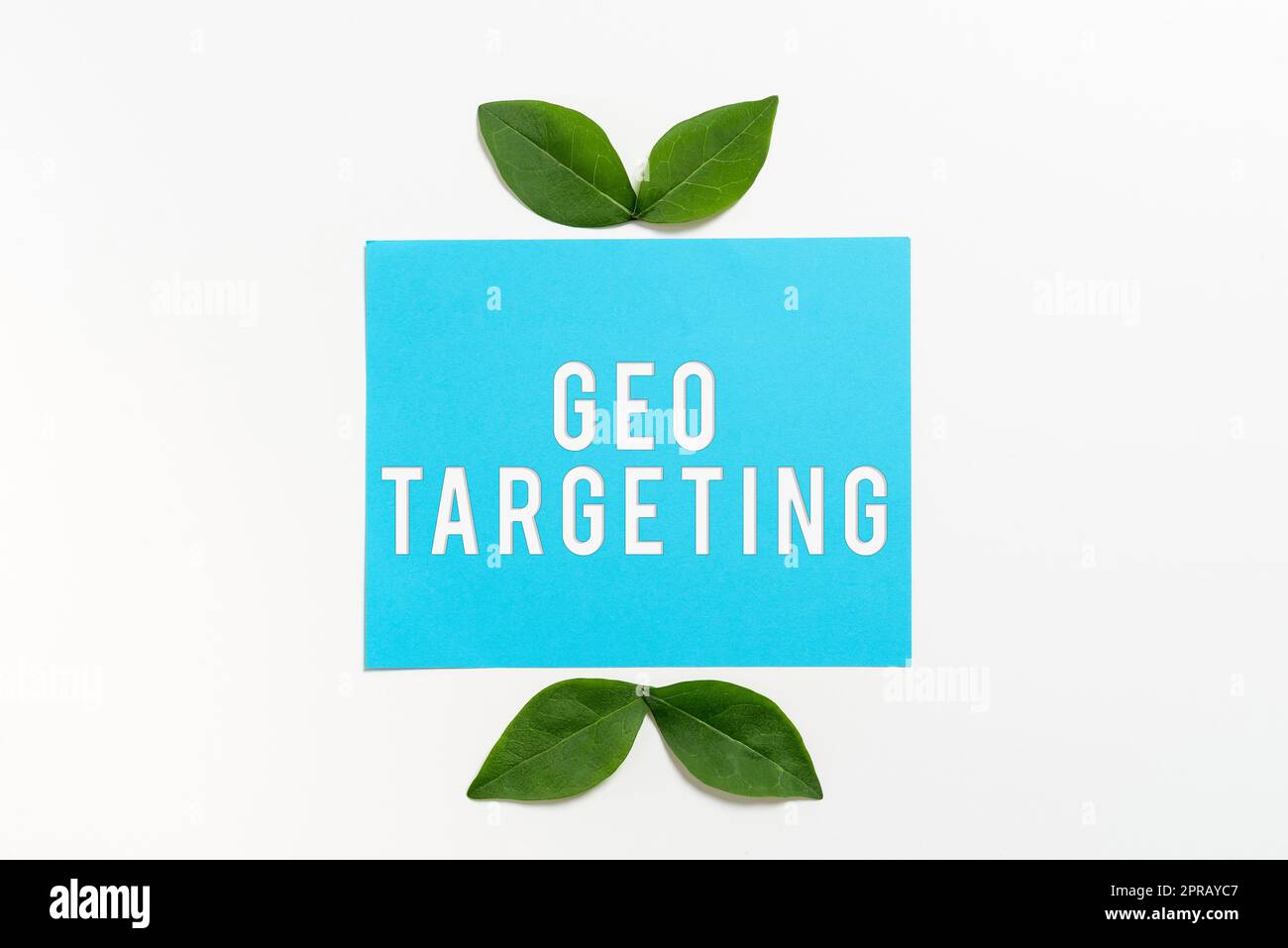Inspiration showing sign Geo Targeting. Concept meaning Digital Ads Views IP Address Adwords Campaigns Location Blank Color Paper With Leaves Arranged For Business Promotion. Stock Photo