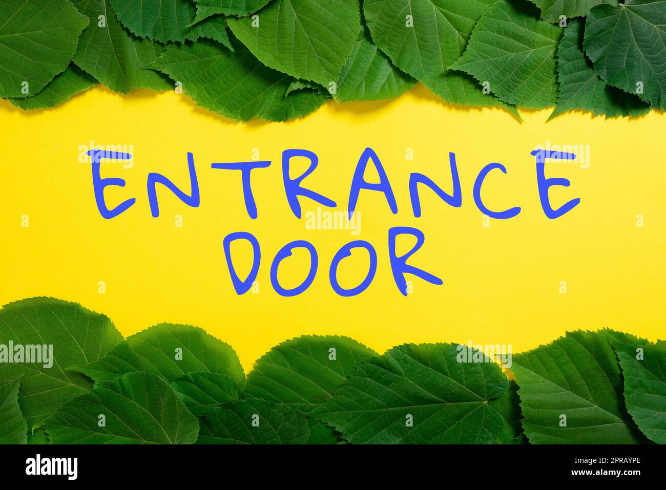 Handwriting text Entrance Door. Business approach Way in Doorway Gate Entry Incoming Ingress Passage Portal Important Informations Written On Paper Under Lot Of Leaves. Stock Photo