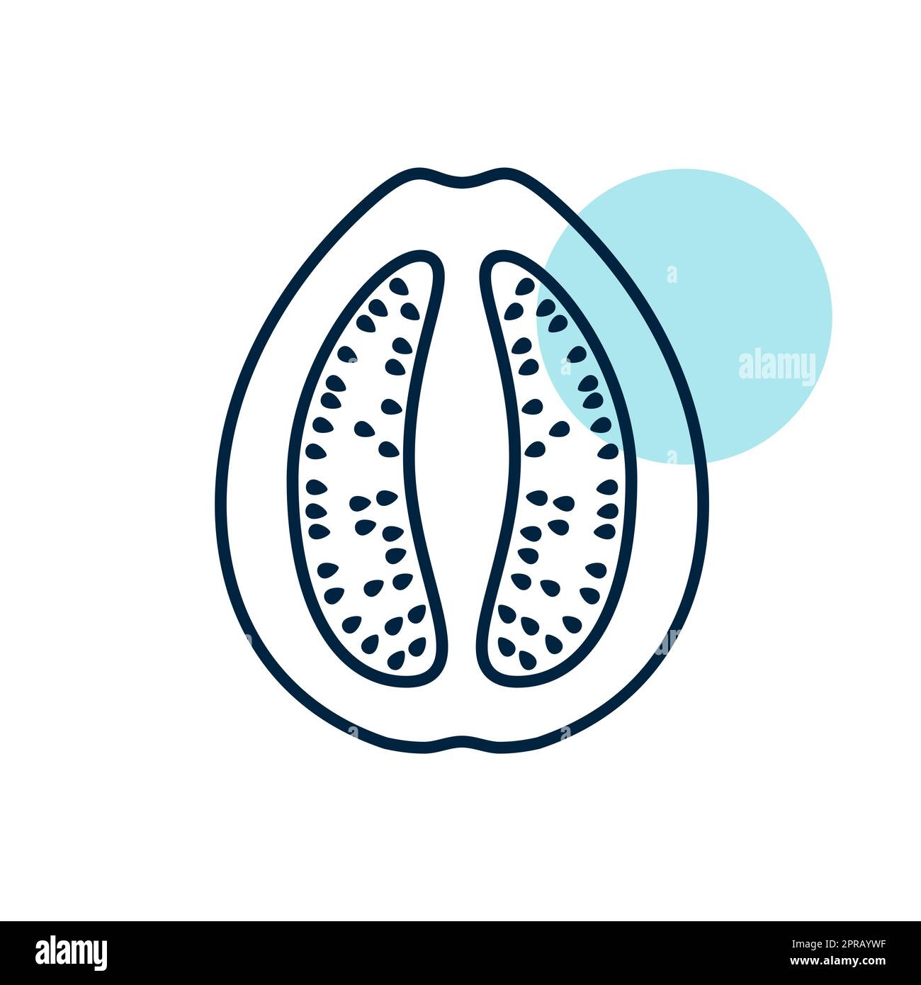 Guava tropical fruit vector icon. Graph symbol for food and drinks web ...