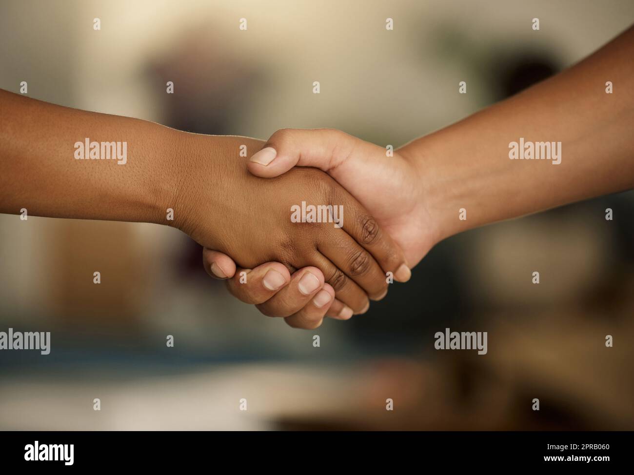 Closeup hands in handshake showing meeting, success and team support. Manager welcoming, promoting or agreeing with colleague in hand gesture. Two people symbolizing unity, power or strength together Stock Photo