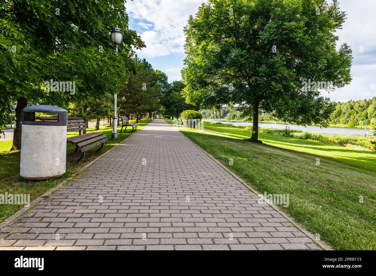 urban-recreation-and-outdoor-activities-area-the-row-of-oak-trees