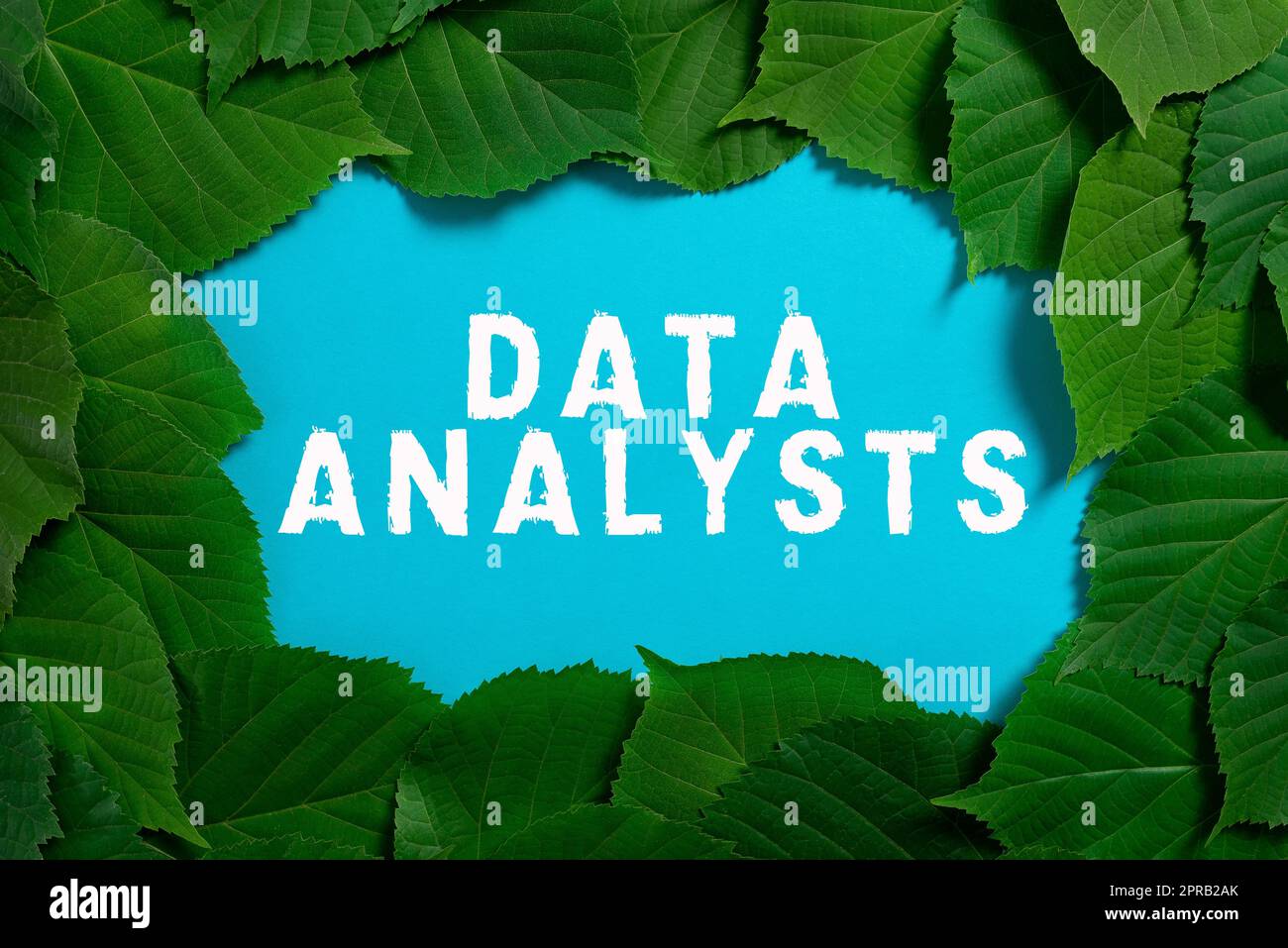 Text caption presenting Data Analysts. Word for Programmer Design and Create Report Identifies patterns Important Informations Written On Paper Under Lot Of Leaves. Stock Photo