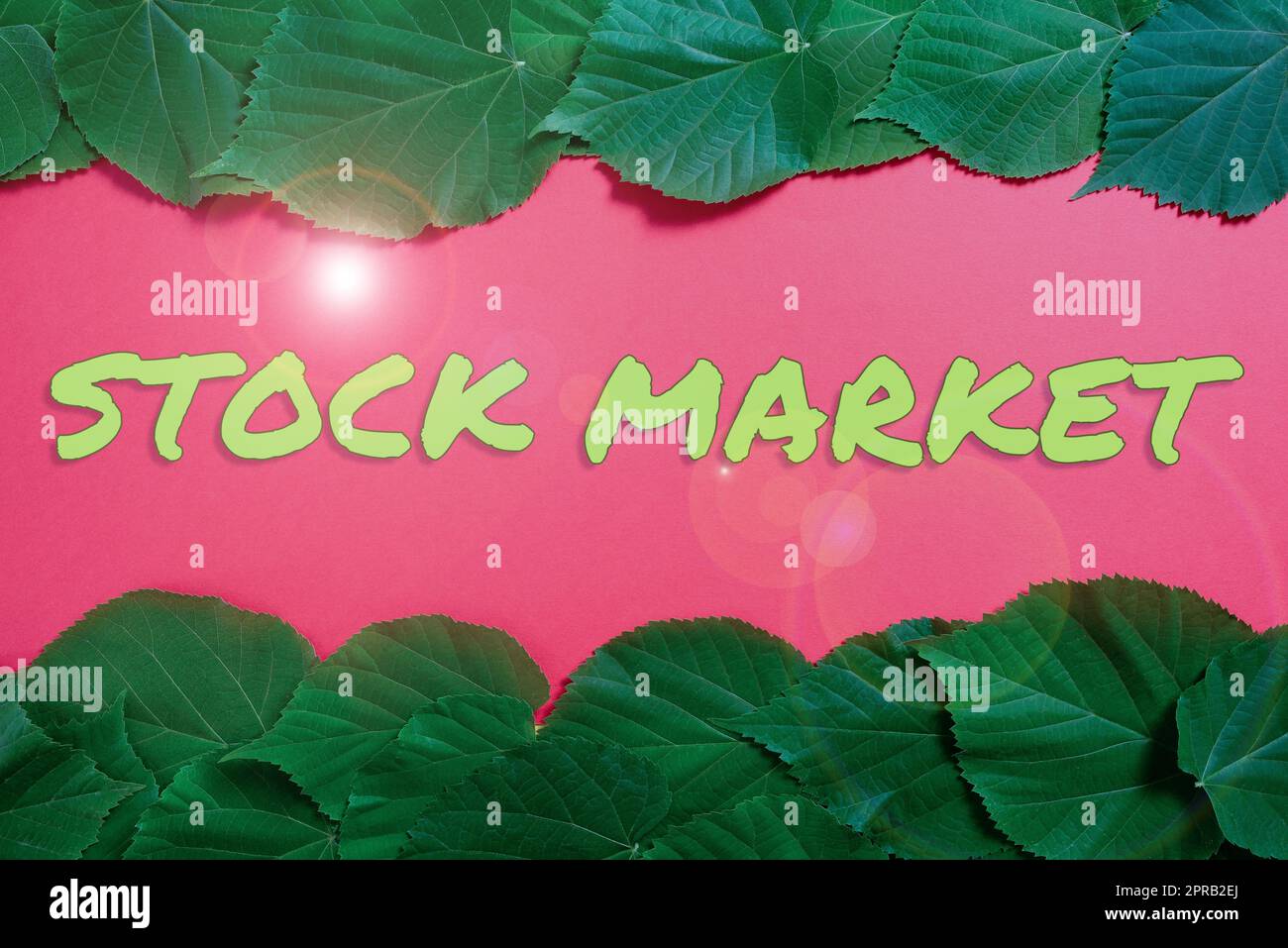 Handwriting text Stock Market. Business approach Particular market where stocks and bonds are traded or exhange Important Informations Written On Paper Under Lot Of Leaves. Stock Photo