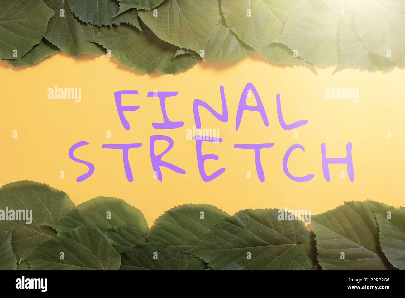 Conceptual display Final Stretch. Business approach Last Leg Concluding Round Ultimate Stage Finale Year ender Important Informations Written On Paper Under Lot Of Leaves. Stock Photo