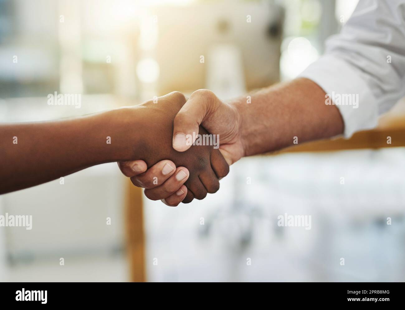 A team handshake in agreement between colleagues and coworkers in an office. Working together as a team to achieve success, merge as a partnership or promote a business person at work closeup Stock Photo