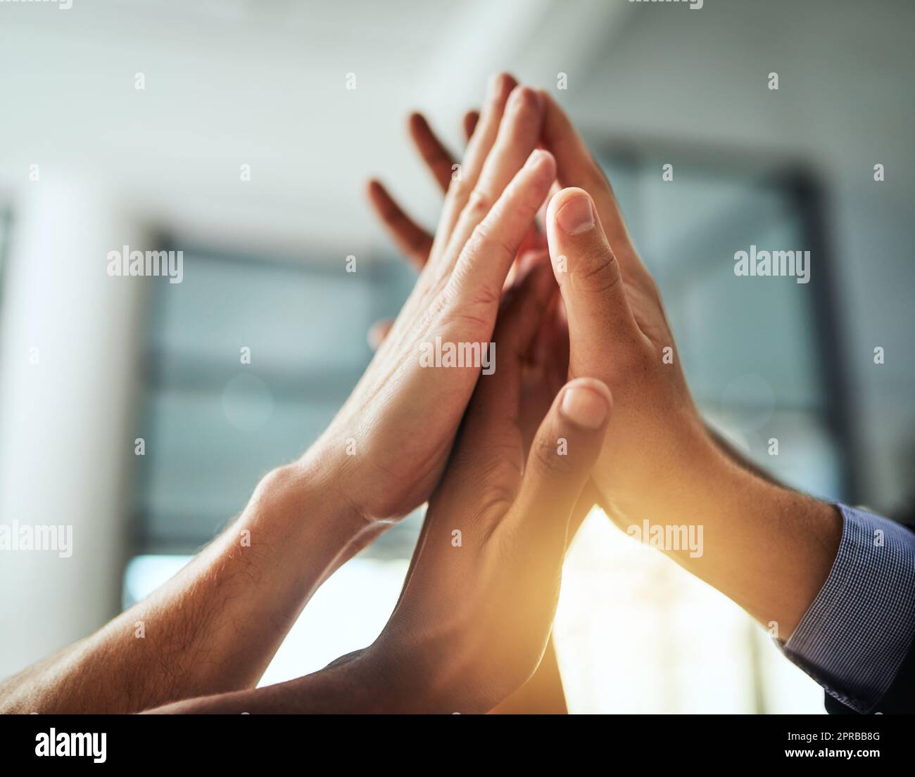 High five of a diverse group of businesspeople celebrate, unite and support each other. Closeup of a multiethnic corporate professional team hands touching showing success inside a startup office Stock Photo