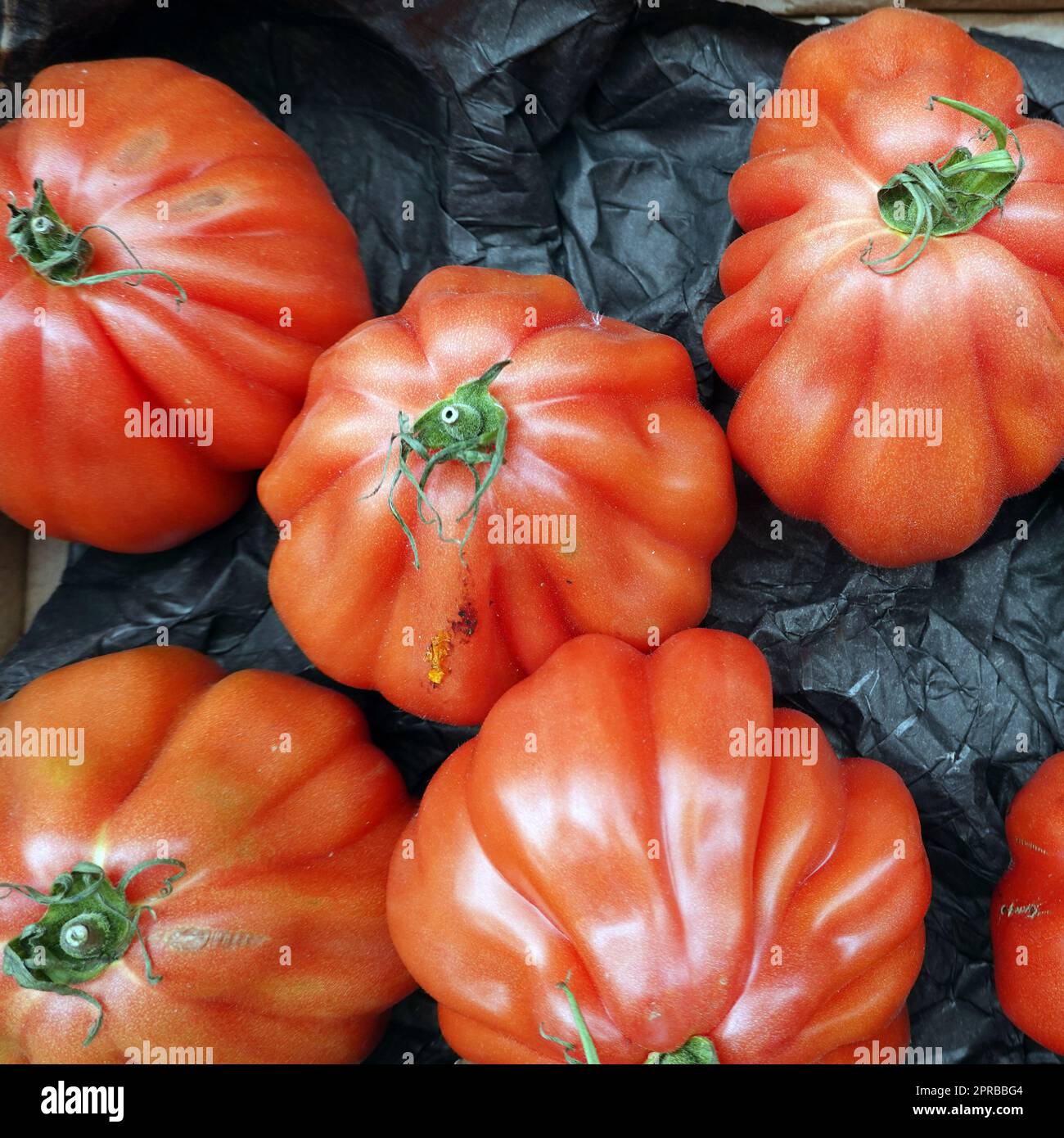 Tomaten (Solanum lycopersicum) im Gemüsegeschäft Stock Photo