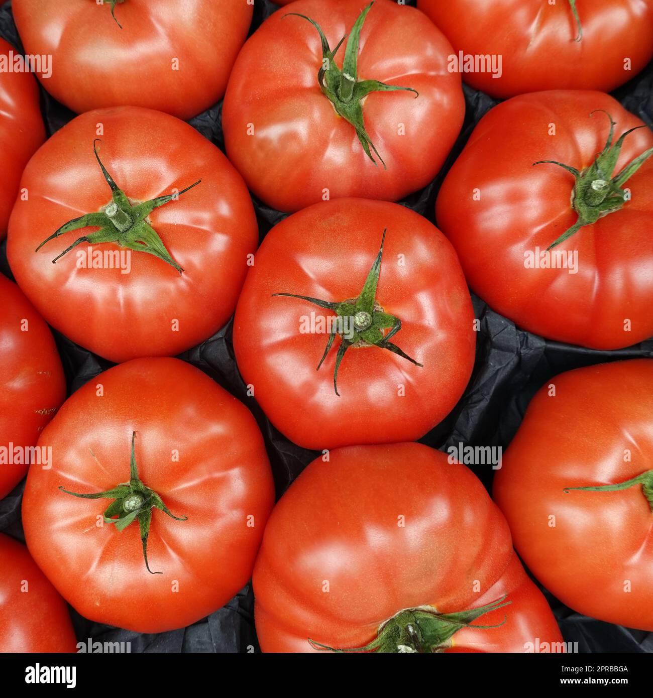 Tomaten (Solanum lycopersicum) im Gemüsegeschäft Stock Photo