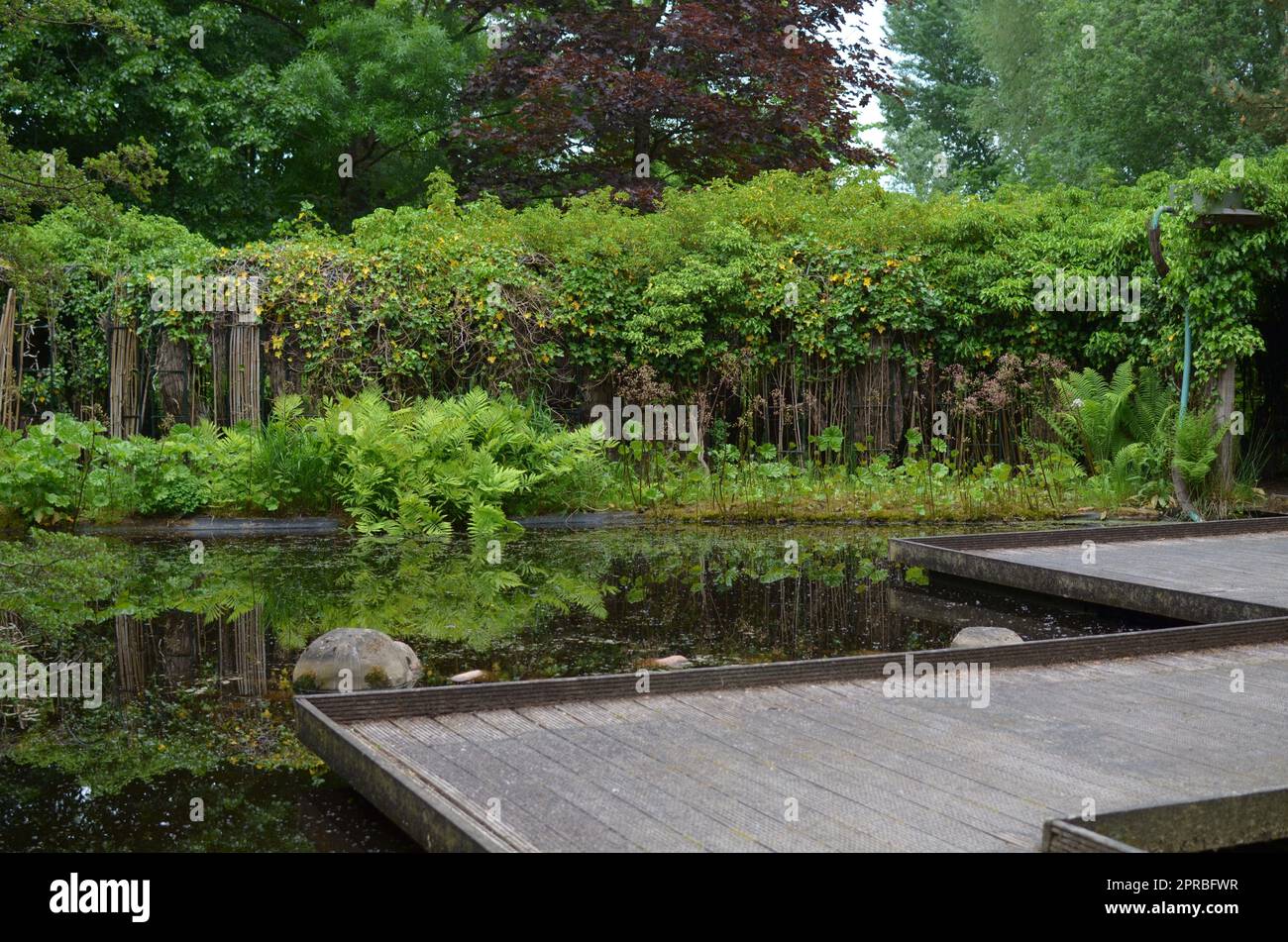 Beautiful view of wooden pond bridge and green plants in park Stock Photo