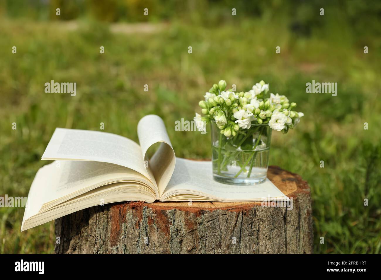 Book - Flowering Outdoors main image 1