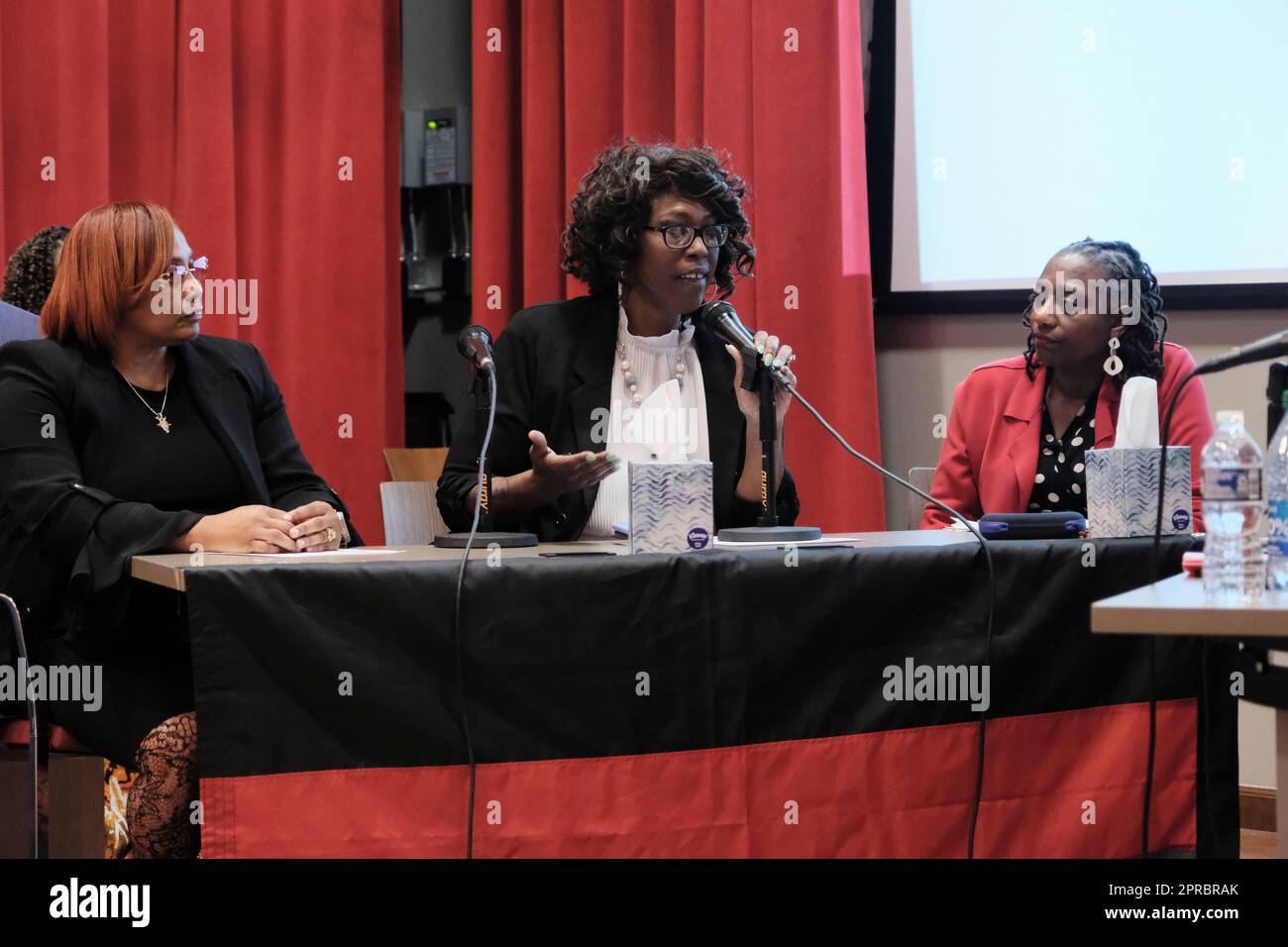 April 26, 2023: A panelist offers testimony to two experts from the UN ...