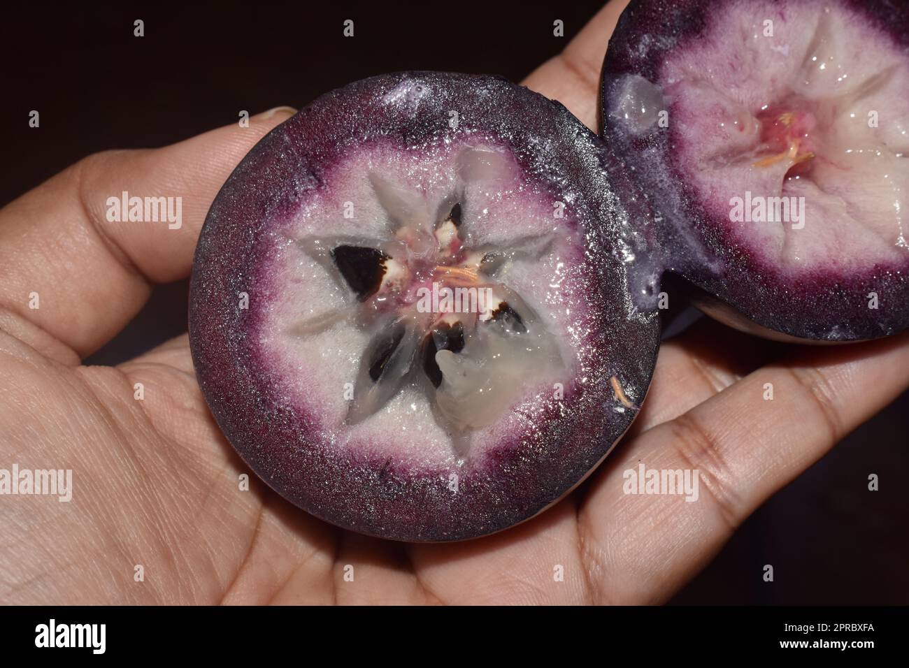 Chrysophyllum cainito or star apple or caimite fruit. Stock Photo