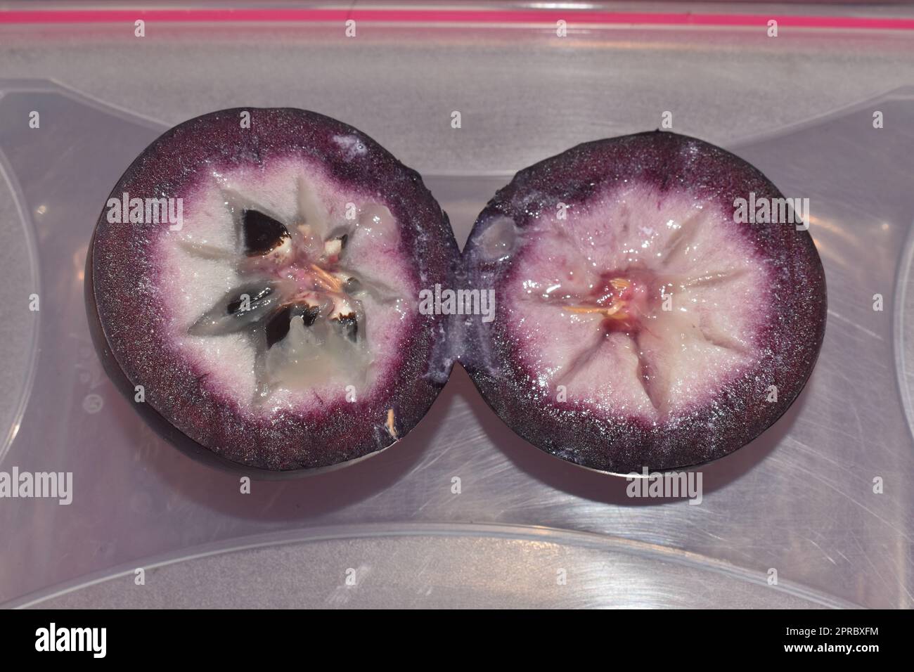 Chrysophyllum cainito or star apple or caimite fruit. Stock Photo