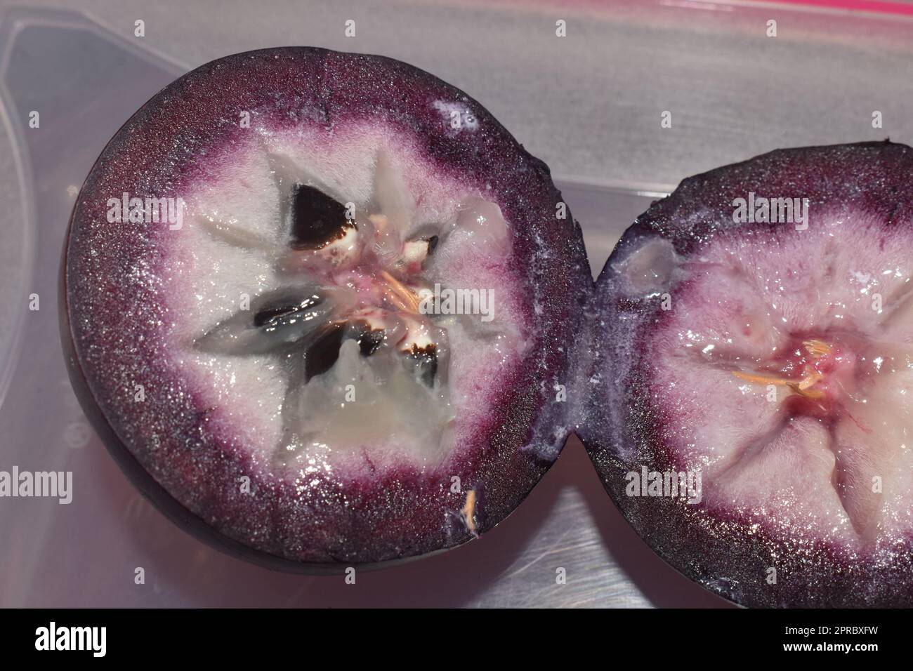 Chrysophyllum cainito or star apple or caimite fruit. Stock Photo