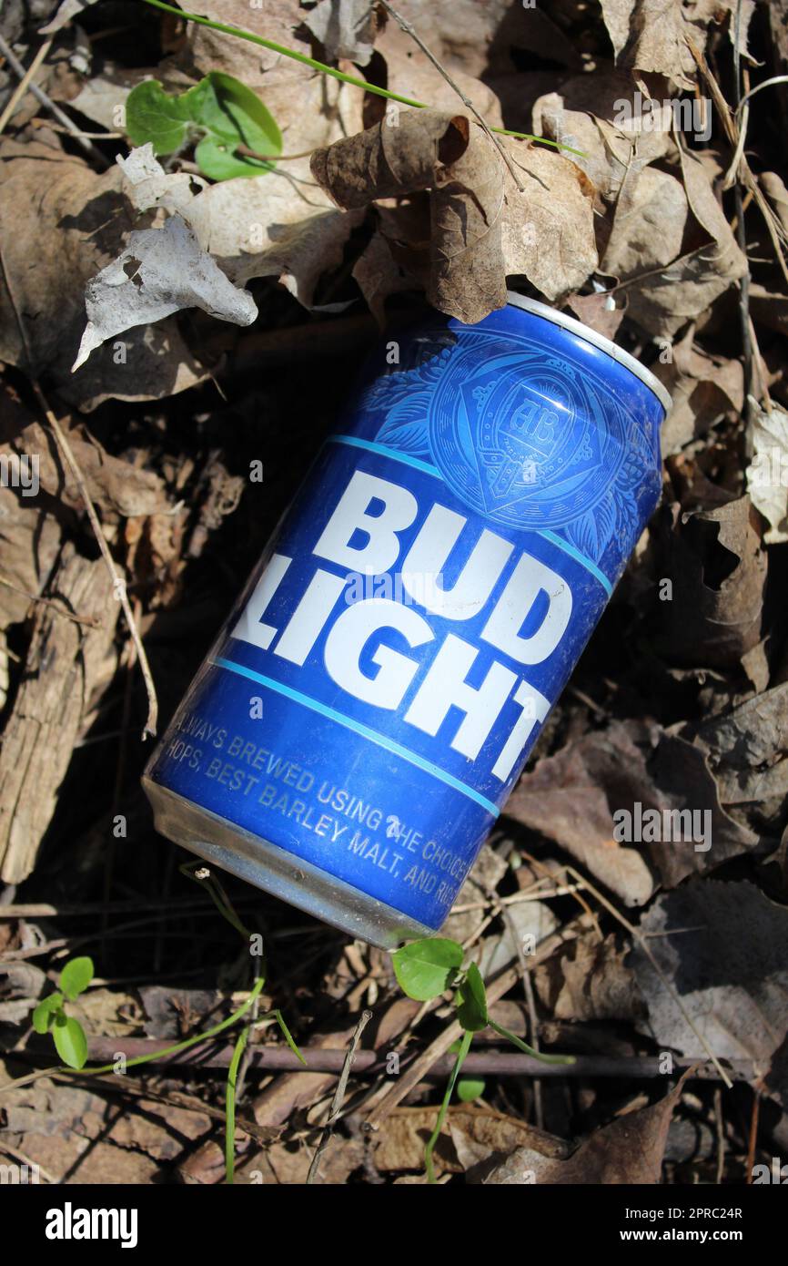 Empty Bud Light can litter at Algonquin Roads in Des Plaines, Illinois Stock Photo