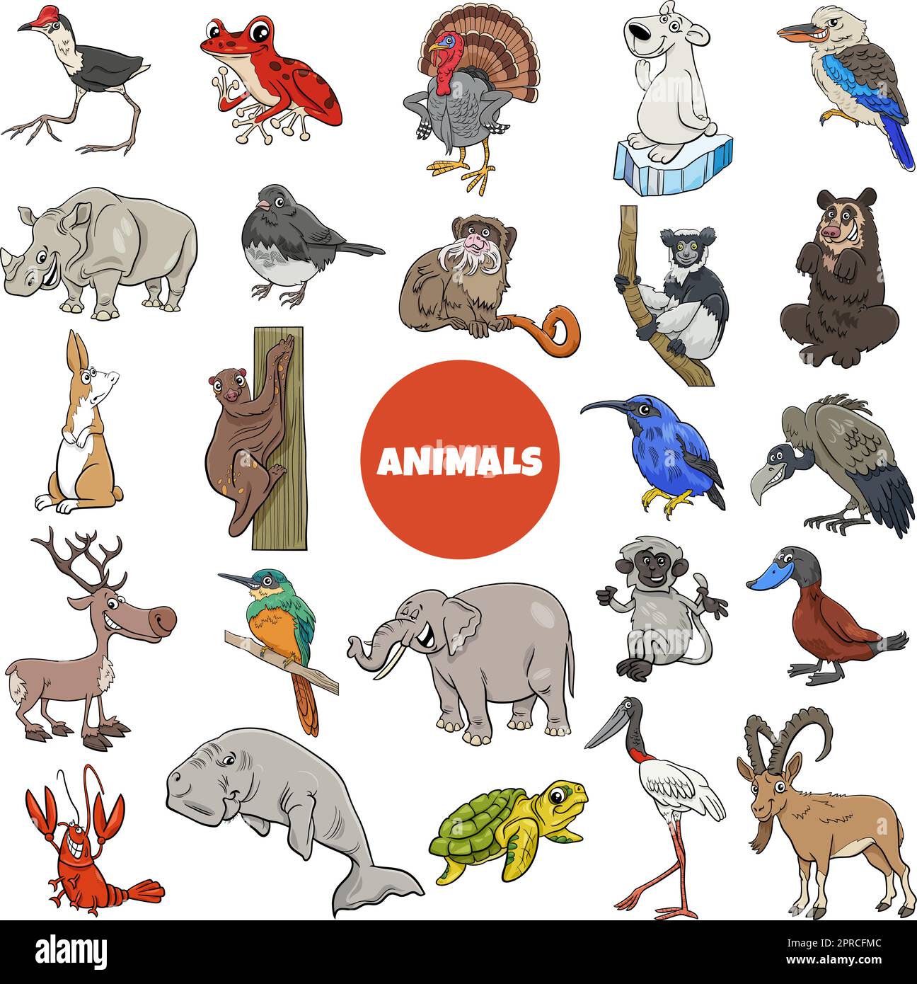 cartoon wild animal species characters big set Stock Vector