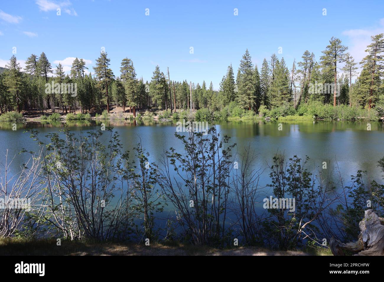 Lassen's Jewel: Unveiling the Magic of Manzanita Lake Campground