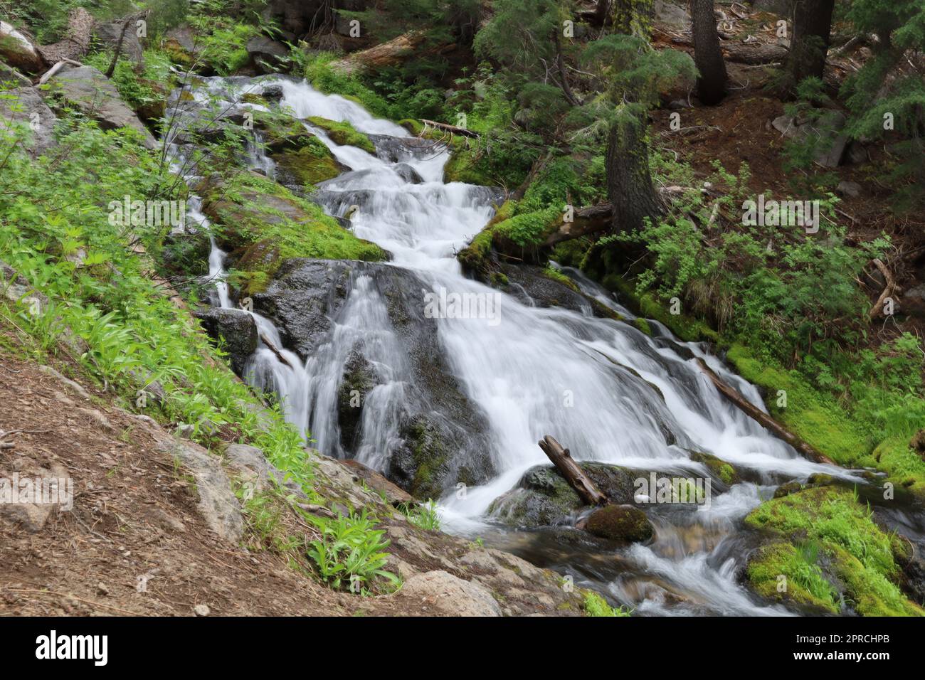 Escape to Hat Creek: Your Northern California Ranch Retreat