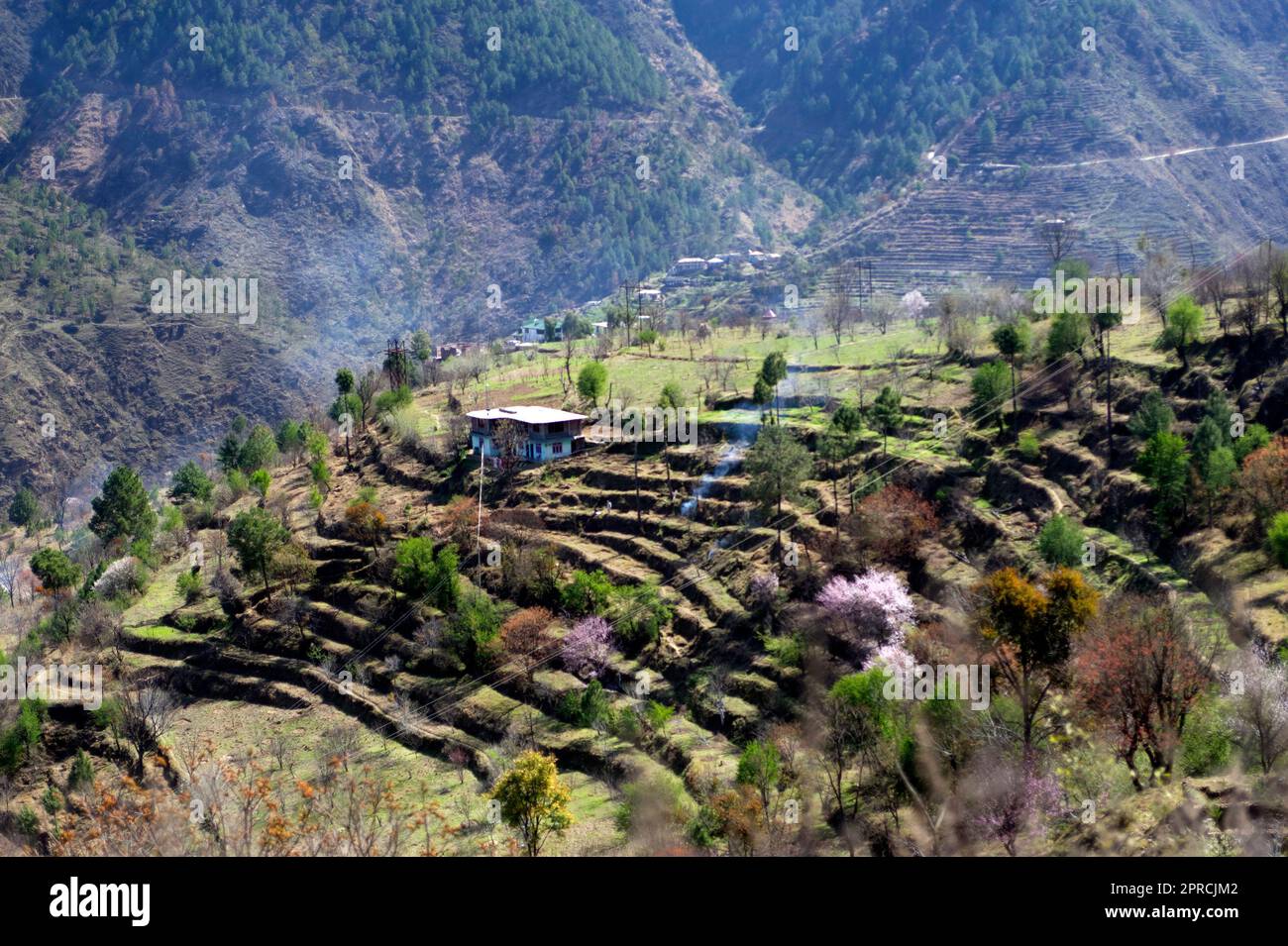 Himalayan village house and terrace farm land in state Himachal Pradesh