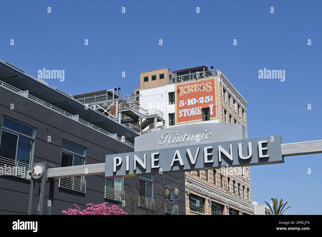 LONG BEACH, CALIFORNIA - 18 APR 23023: Historic Pine Avenue sign in downtown Long Beach. Stock Photo