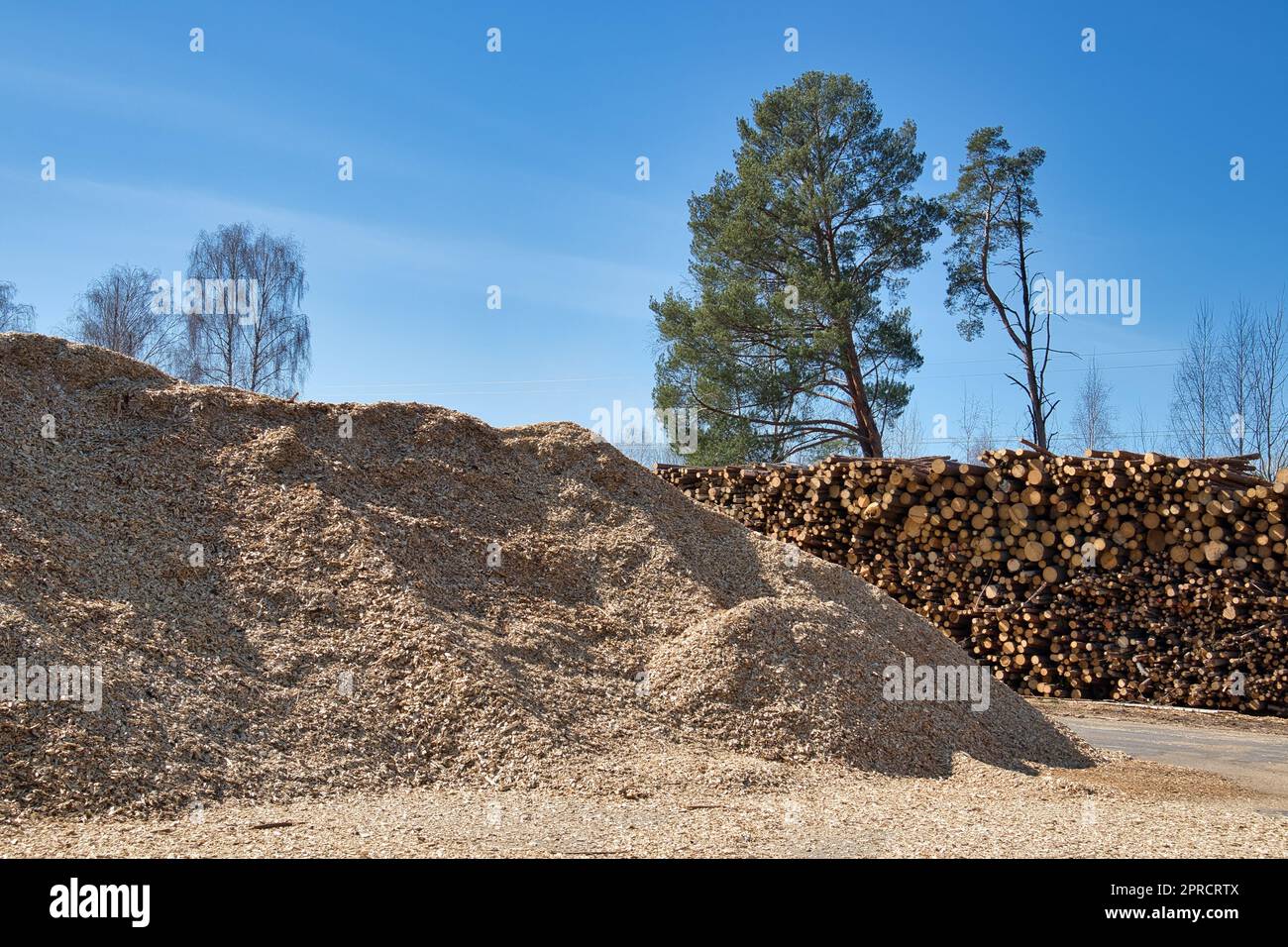 wood industry material stacked outdoors Stock Photo