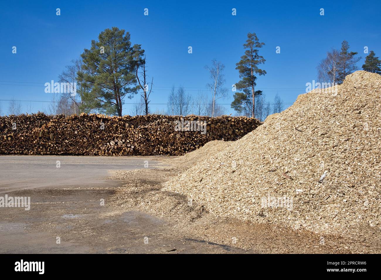 wood industry material stacked outdoors Stock Photo