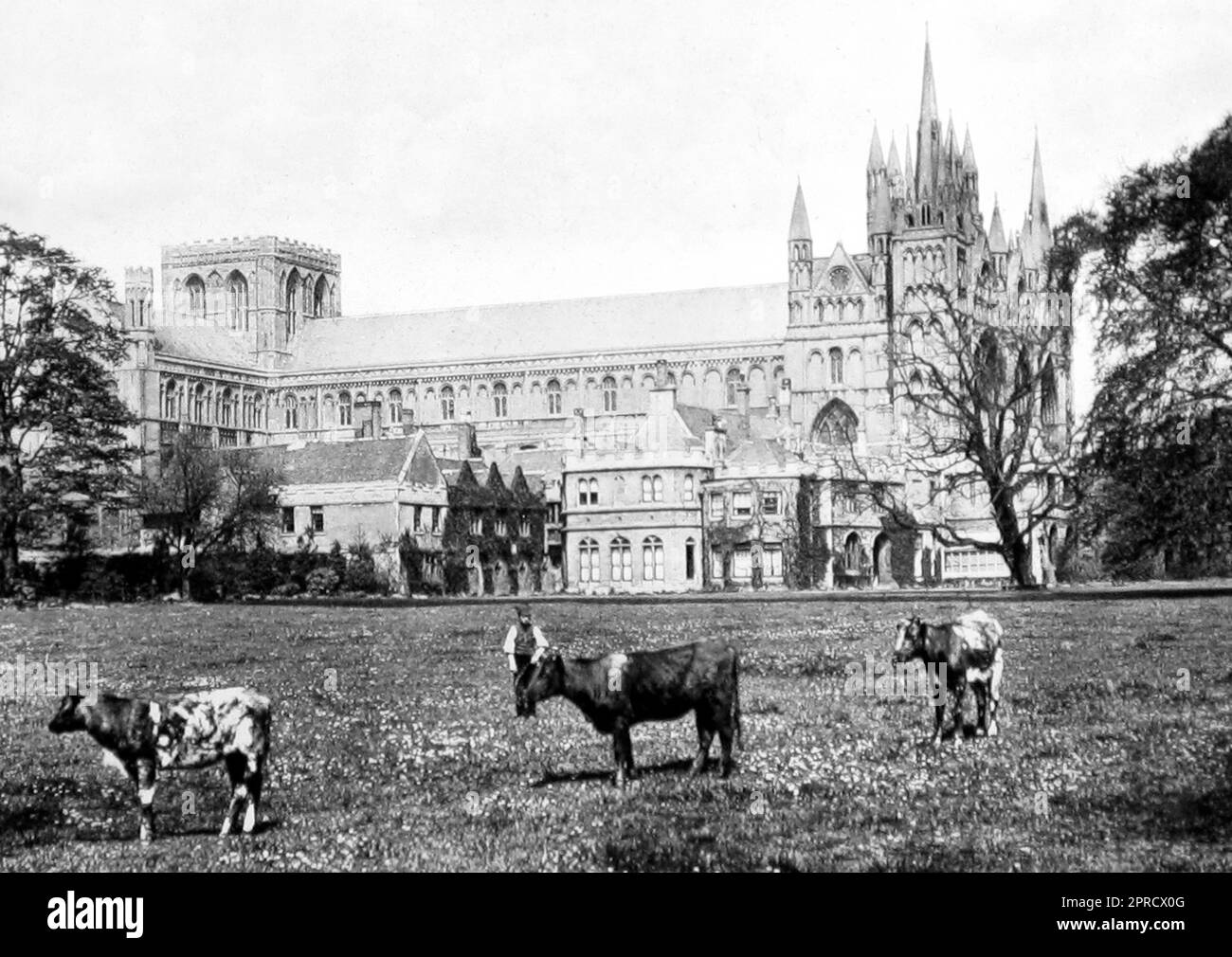 Peterborough vintage Black and White Stock Photos & Images Alamy