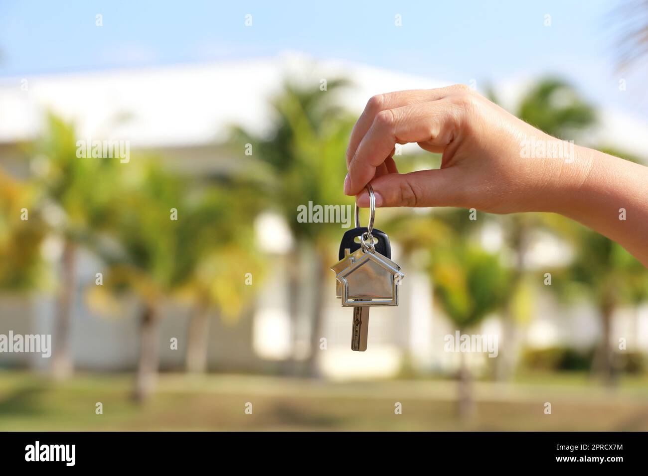 Real estate agent, home keys in female hand on background of house surrounded by palm trees. Buying or rental a villa on ocean coast Stock Photo