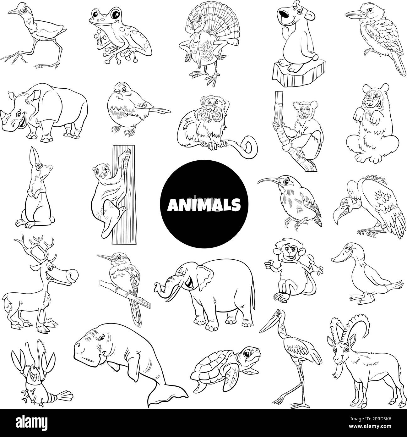 black and white cartoon wild animal species characters set Stock Vector