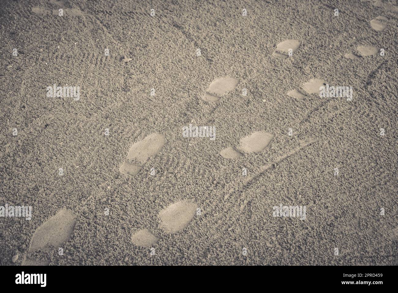 Footprint on sand beach background Stock Photo