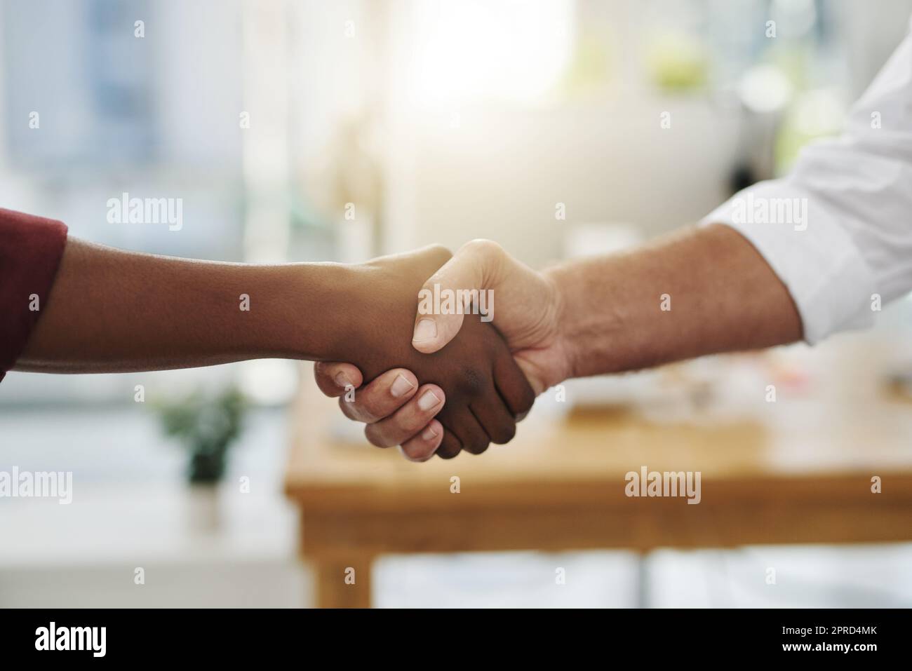 A team handshake in agreement between colleagues and coworkers in an office. Working together as a team to achieve success, merge as a partnership or promote a business person at work closeup. Stock Photo