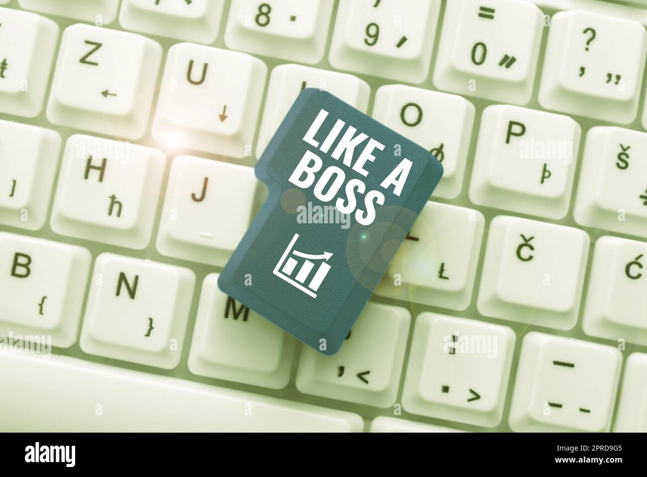 Text sign showing Like A Boss, Concept meaning Acting as if you are the one giving orders in job or situation -48995