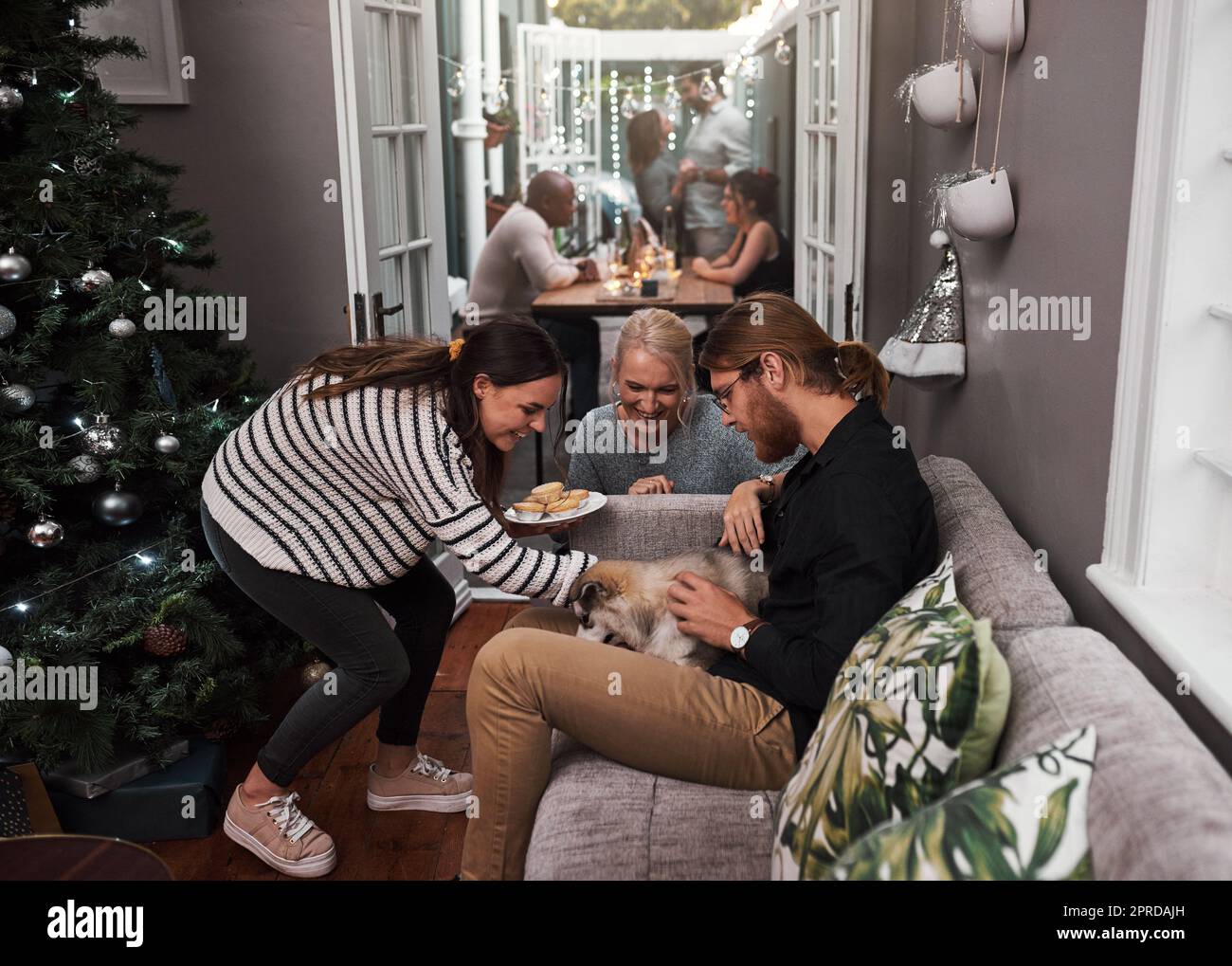 You are coming home with me. two cheerful friends hanging out together with a puppy in the living room at home during christmas time. Stock Photo