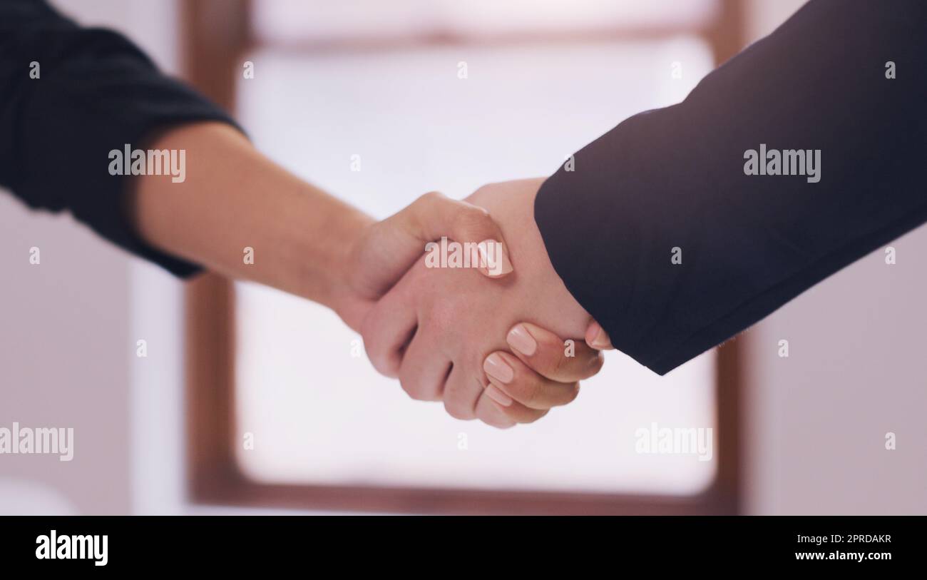 Im glad we reached an agreement. an unrecognizable female financial advisor shaking hands with a client in her office during the day. Stock Photo