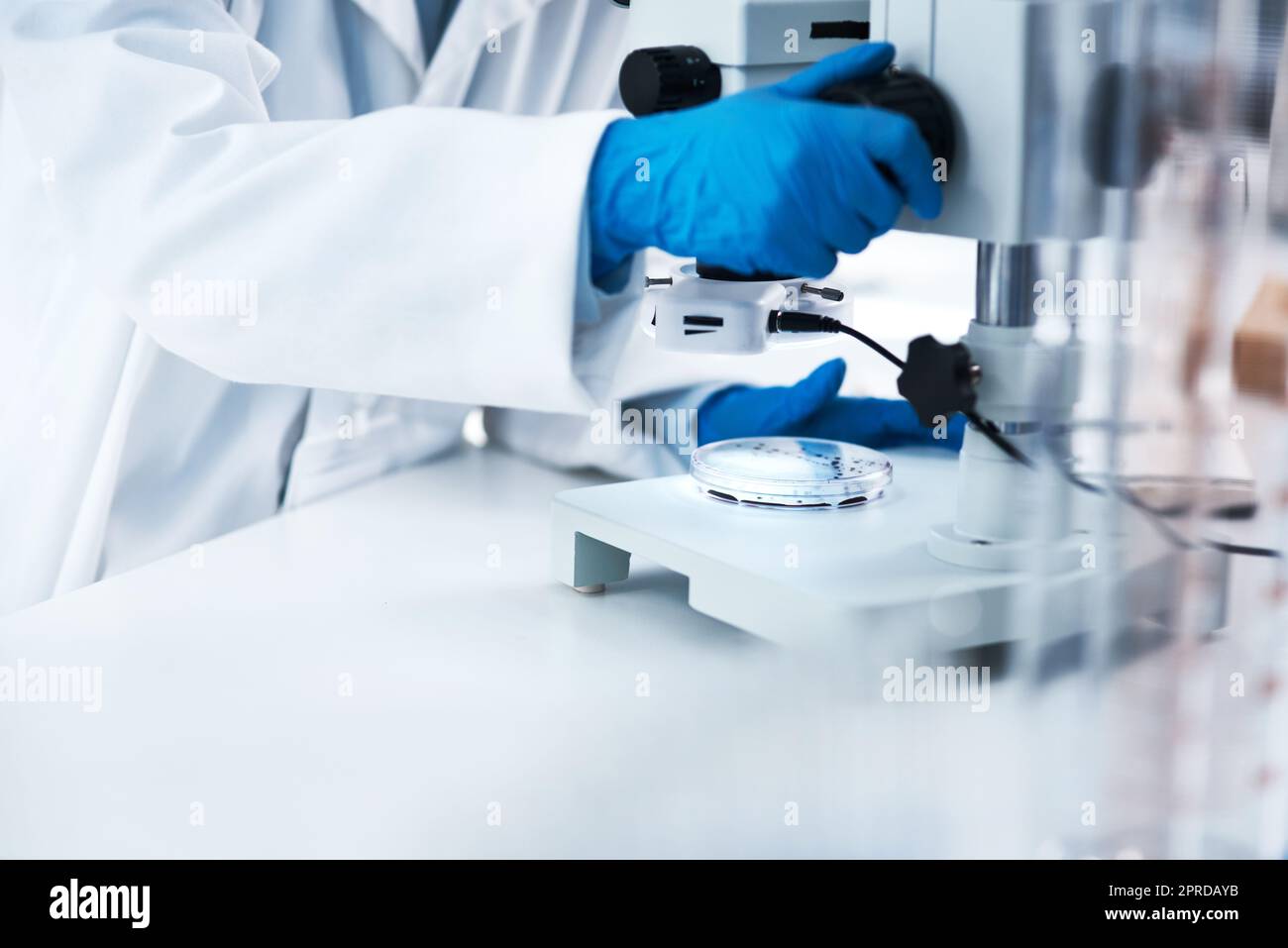 Scientist, microscope, hand hi-res stock photography and images - Alamy