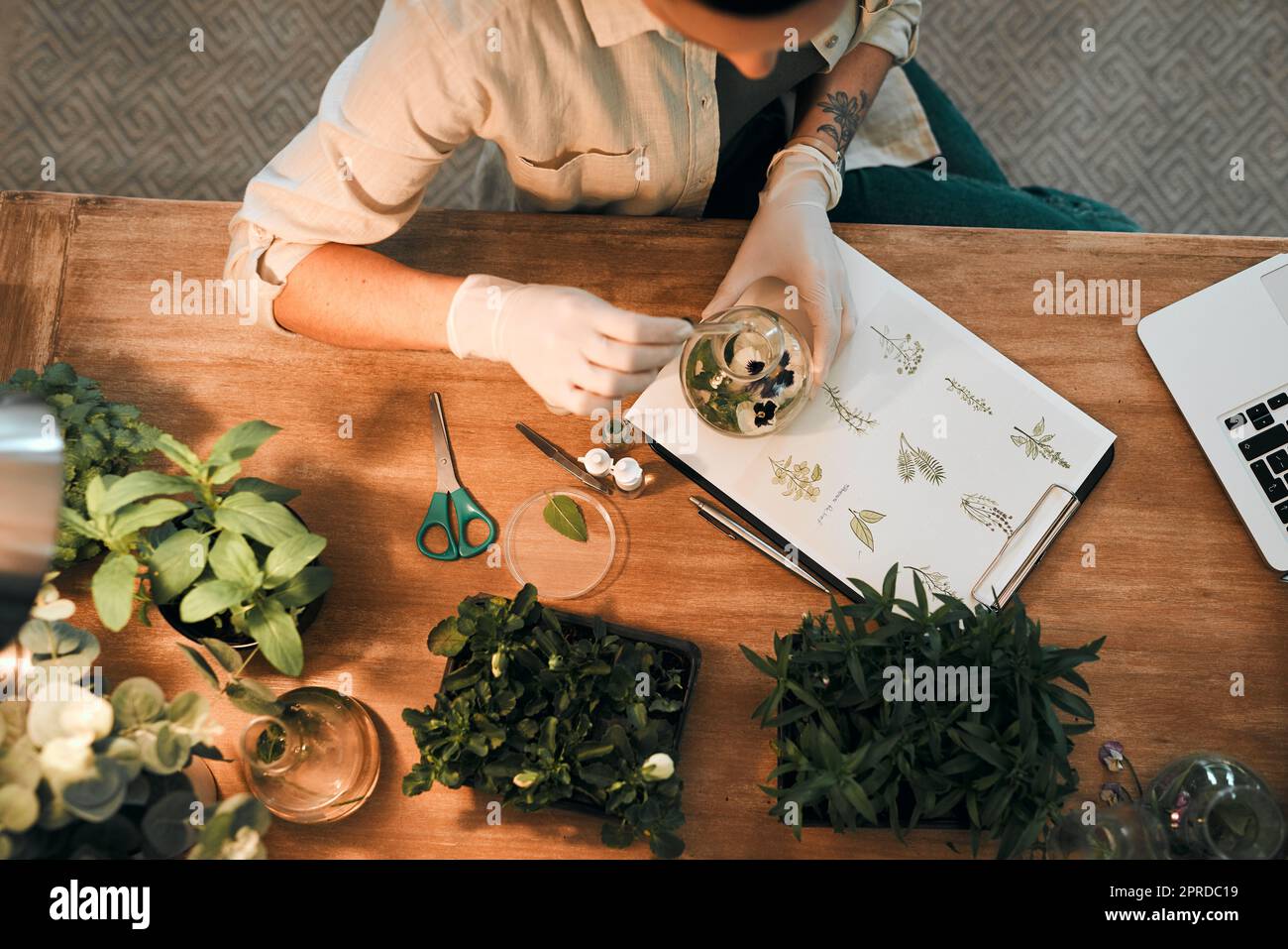 Who wouldnt love working with plants and flowers all day. an unrecognizable botanist adding a liquid nutrient to a water based plant inside a glass jar. Stock Photo