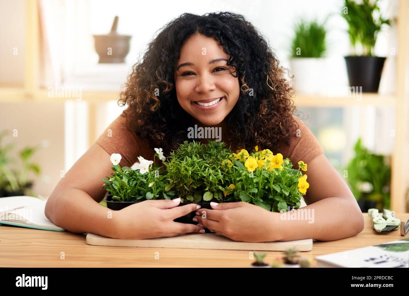 These are my pride and joy. Cropped portrait of an attractive young female botanist working in her florist. Stock Photo