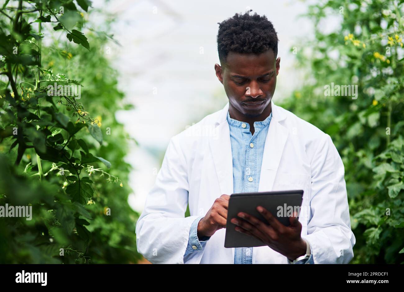 Recording and analyzing data is part of the job. a handsome young botanist using a digital tablet while working outdoors in nature. Stock Photo