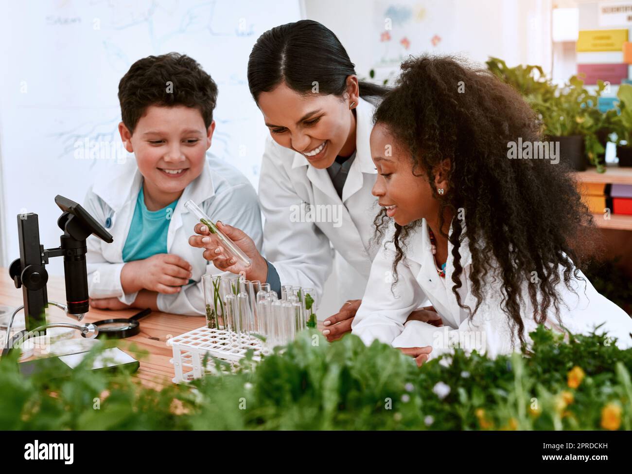 Knowledge grows when you nurture it. an adorable little boy and girl