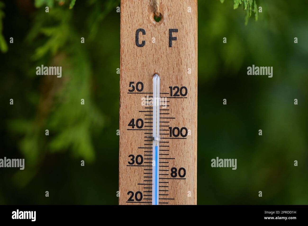 Thermometer showing hot summer temperatures outside, 36 degrees celsius