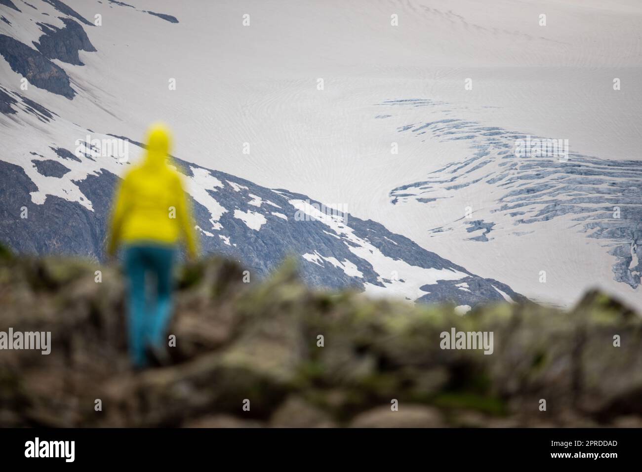 Beauty admiring hi-res stock photography and images - Alamy