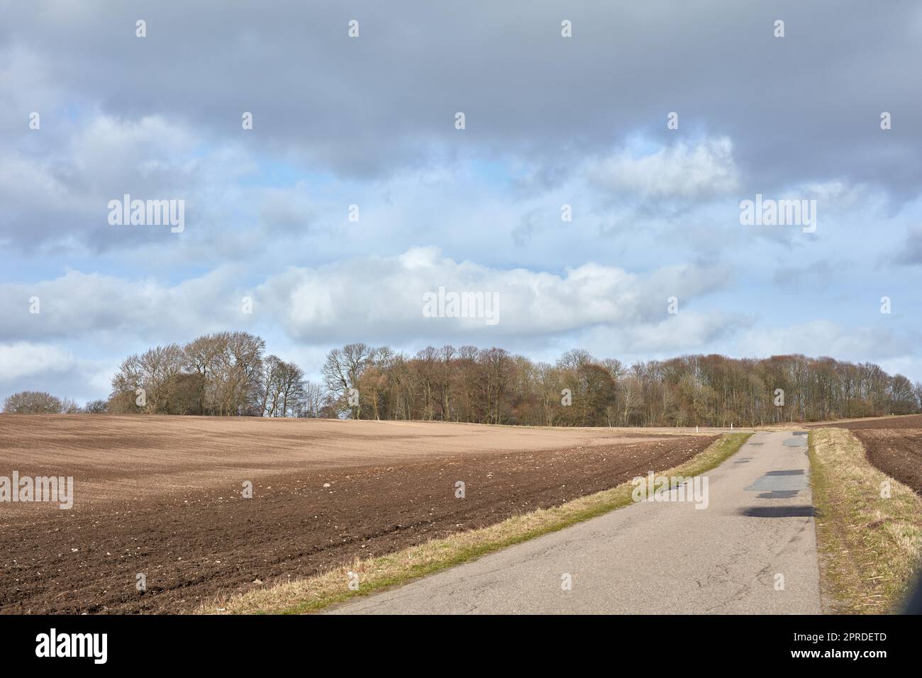 Early springtime in the countryside - Denmark. A photo of the ...