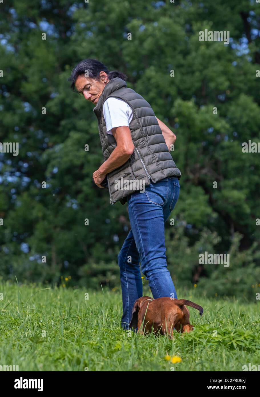 trainer looks back to puppy sniffer dog Stock Photo