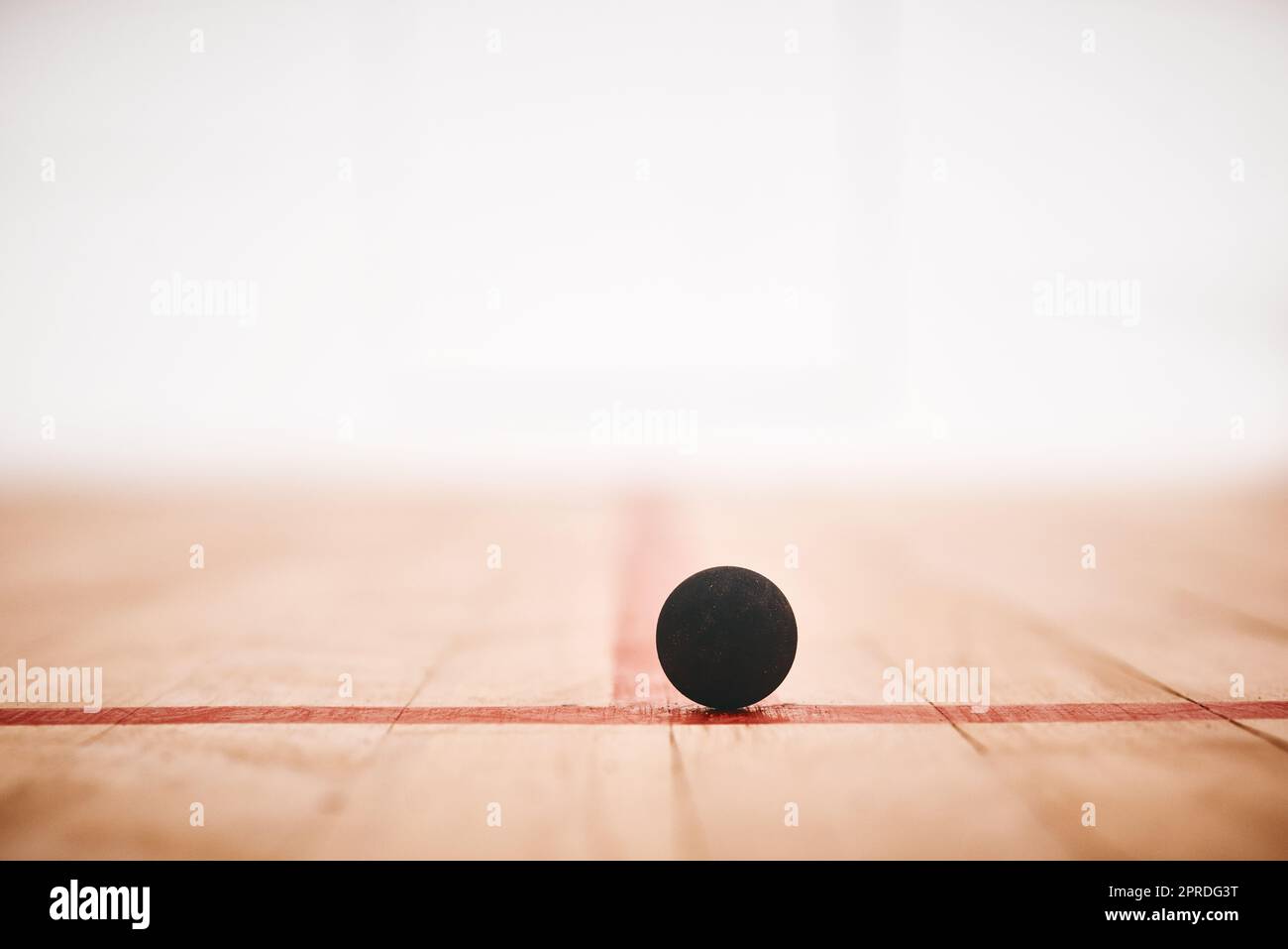 Ill be bouncing around in no time. a squash ball on the floor of a squash court Stock Photo Alamy