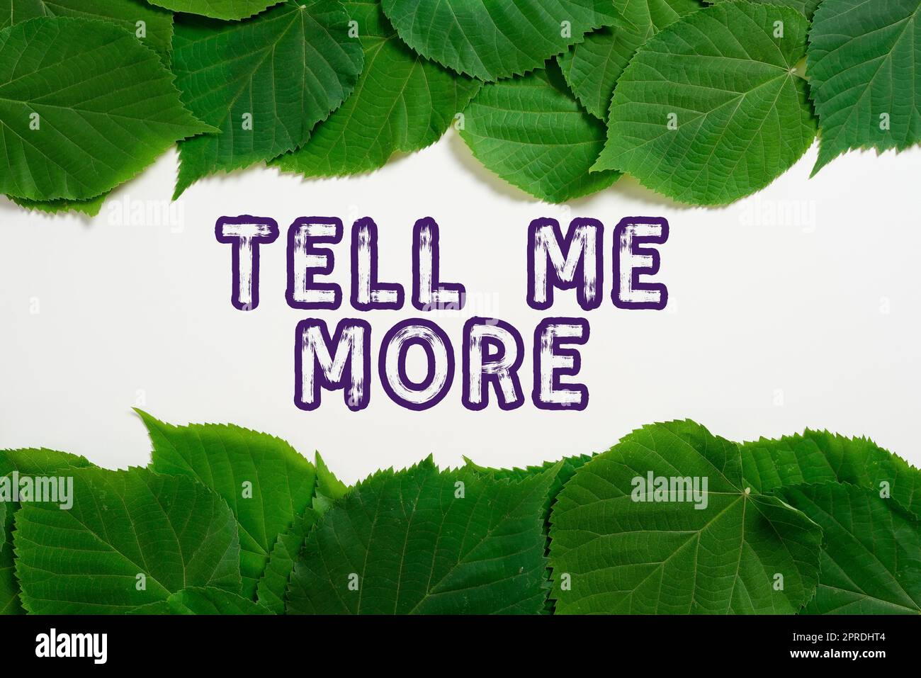 Sign displaying Tell Me More. Business approach A call to start a conversation Sharing more knowledge Important Informations Written On Paper Under Lot Of Leaves. Stock Photo