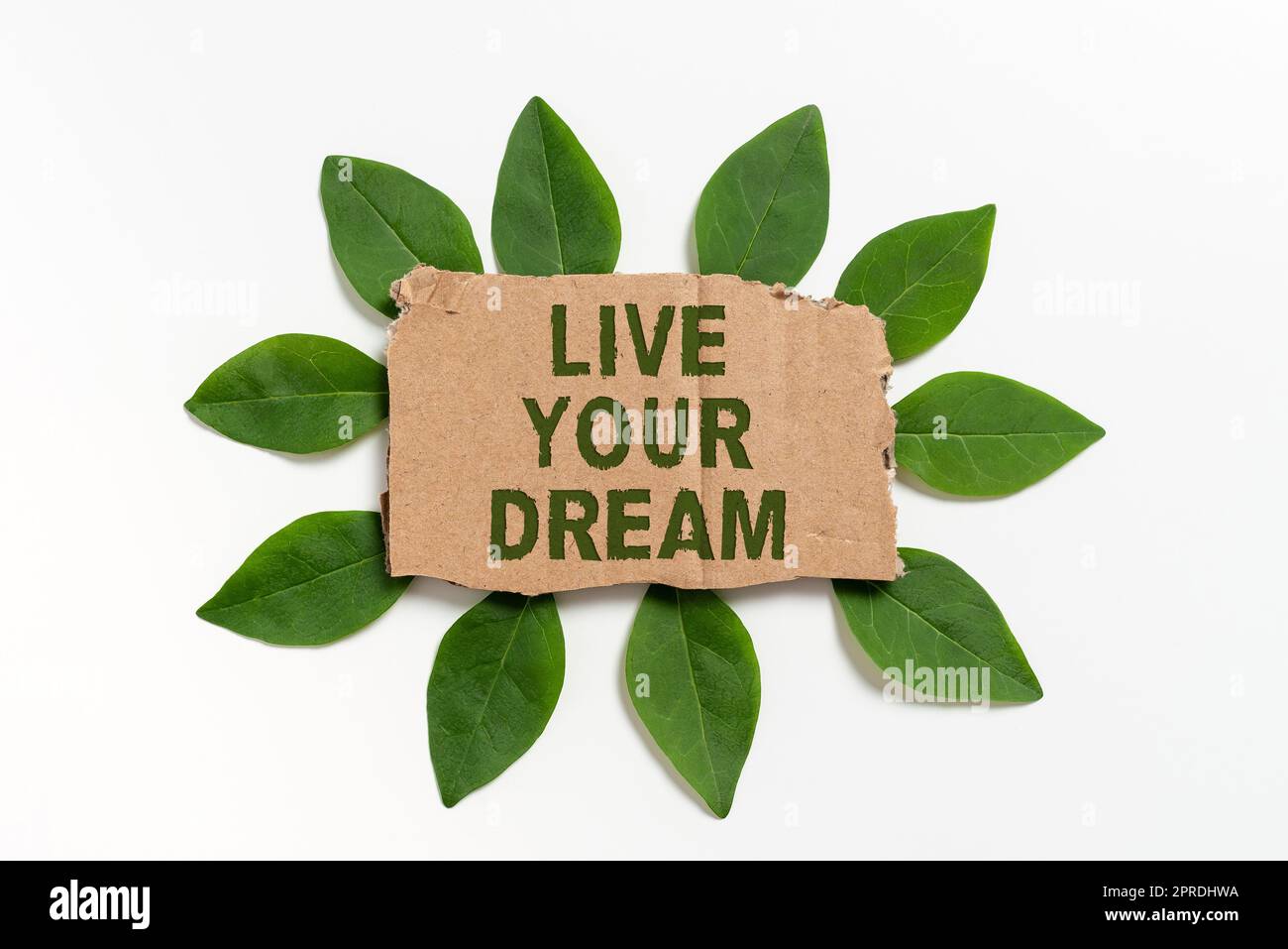 Sign displaying Live Your Dream. Internet Concept Motivation be successful inspiration happiness achieve goals Blank Cardboard Paper Surrounded With Leaves For Invitation Card. Stock Photo