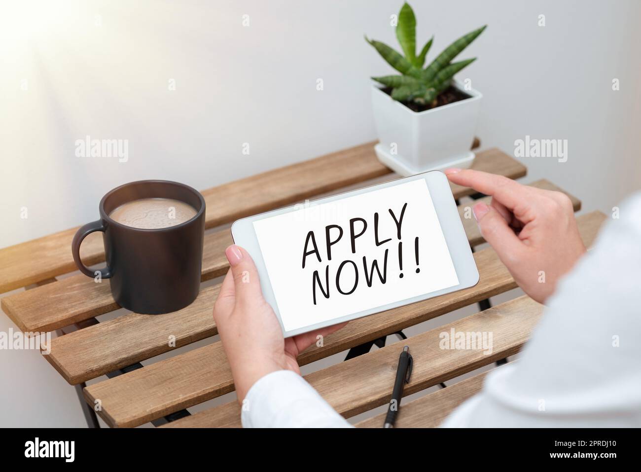 Inspiration showing sign Apply Now. Business overview Make a formal application for a job right away Take action Woman Holding Tablet With Recent Data On Table With Coffee, Pen And Plant Stock Photo
