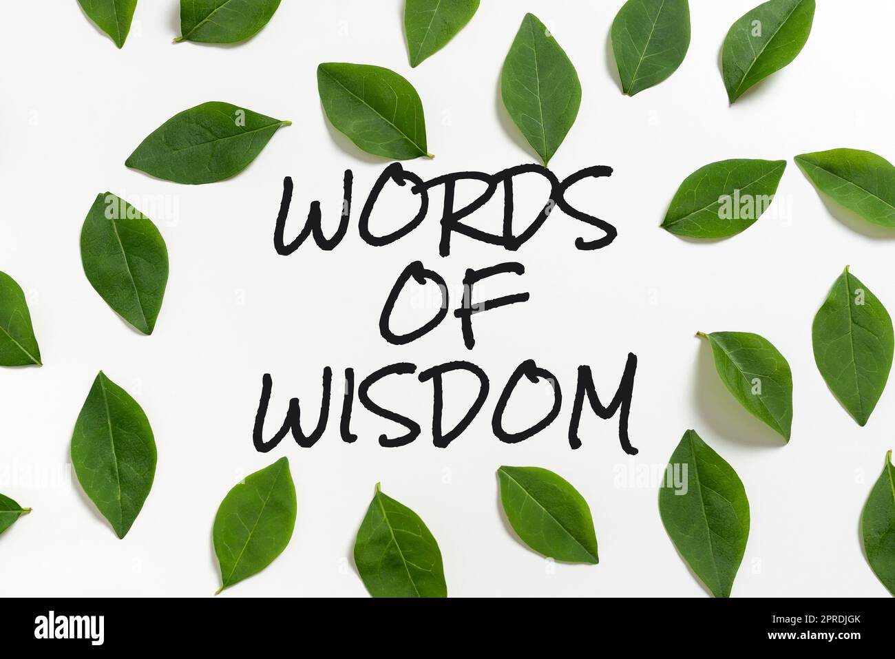 Sign displaying Words Of Wisdom, Business showcase Expert advices