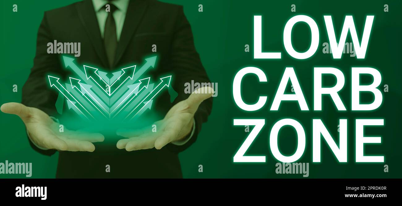 Writing displaying text Low Carb Zone. Word for Healthy diet for losing weight eating more proteins sugar free Businessman Having Arrow Symbols In Hands And Presenting Important Ideas. Stock Photo